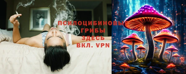 ECSTASY Нефтекумск