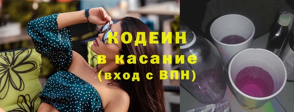 сатива Анжеро-Судженск