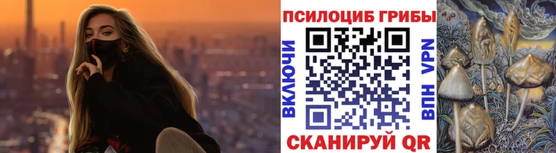 Псилоцибиновые грибы GOLDEN TEACHER  Кимры 