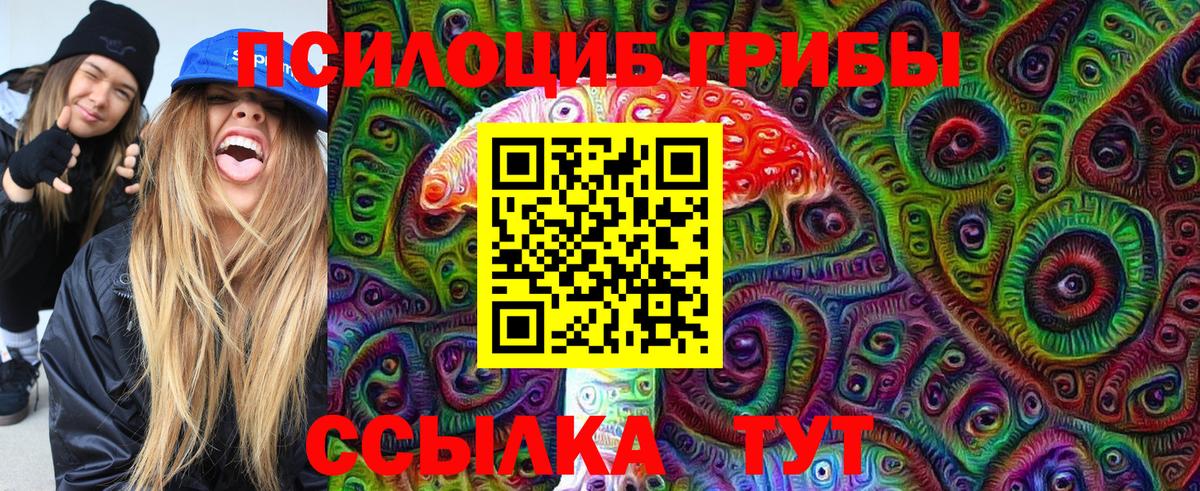 Галлюциногенные грибы ЛСД  Псилоцибиновые грибы Cubensis  Кимры  Вход с VPN 