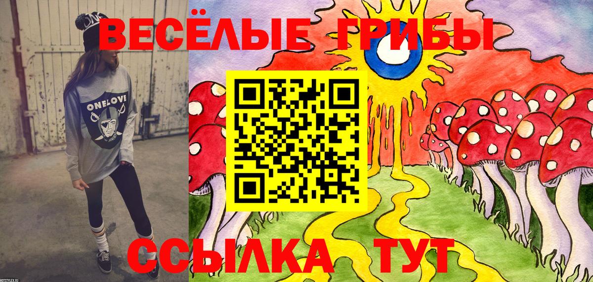 Галлюциногенные грибы мухоморы Кимры